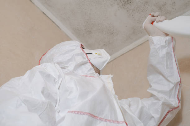 Best Mold Damage Repair  in Martha Lake, WA