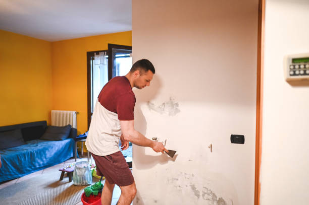 Best Mold Removal Company Near Me  in Martha Lake, WA