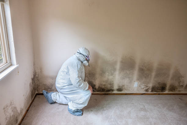 Best Mold Testing  in Martha Lake, WA